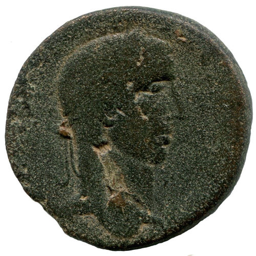 SEVERUS ALEXANDER, 222-235: Bronze, Nisibis (Mesopotamia)