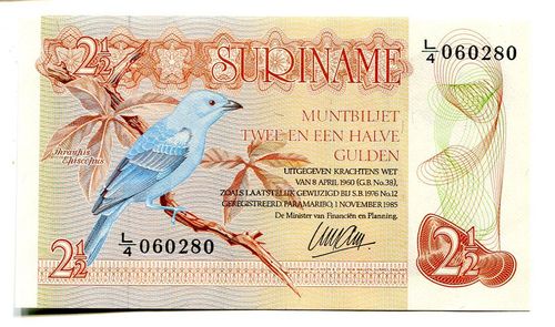 Surinam: P-119: 2½ Gulden 1985